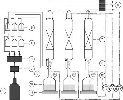 Trickle-Bed Bioreactors for Acetogenic H2/CO2 Conversion